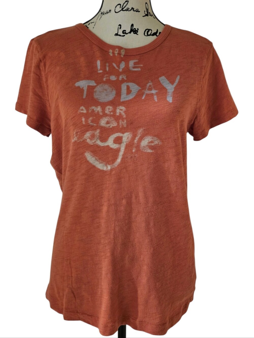 American Eagle Outfitters Rust Graphic Short-Sleeve Tee